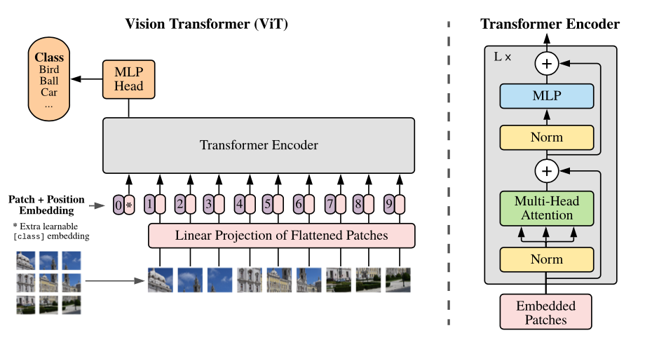 ../_images/vision_transformer.png